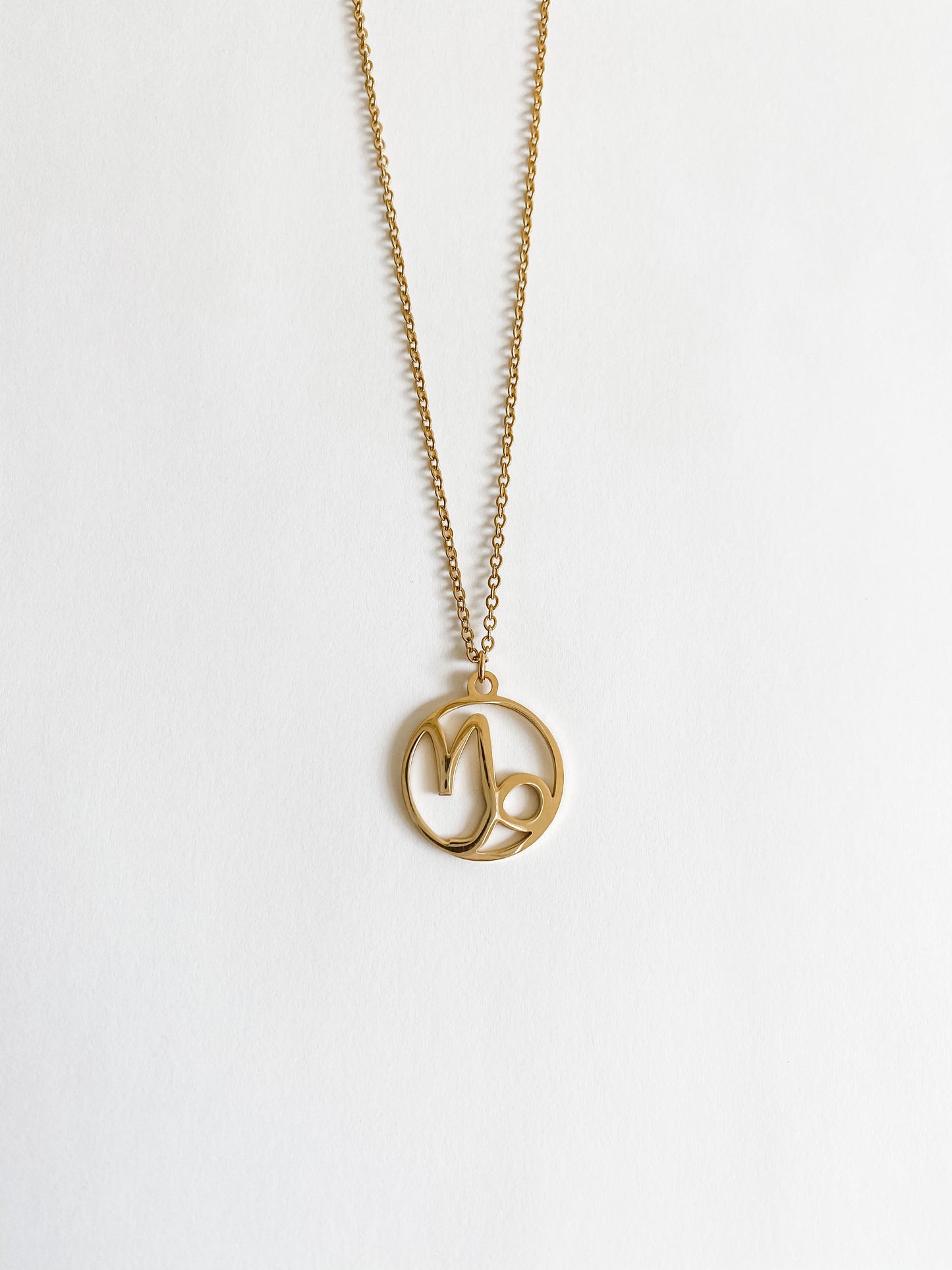 Zodiac Capricorn Necklace